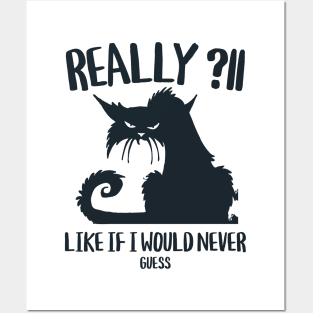 Really ?! funny ironical cat look Posters and Art